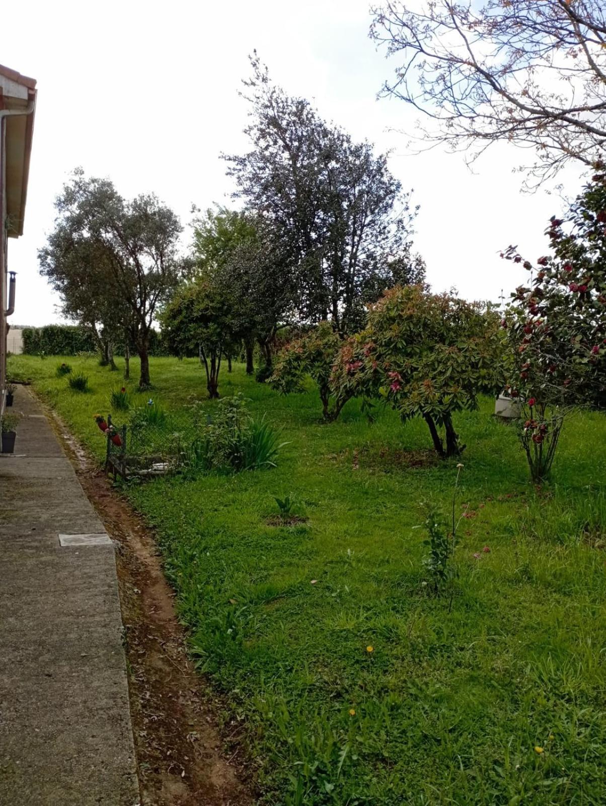 Апартаменти A Casa Do San Paio De Buscas Ordes Екстер'єр фото